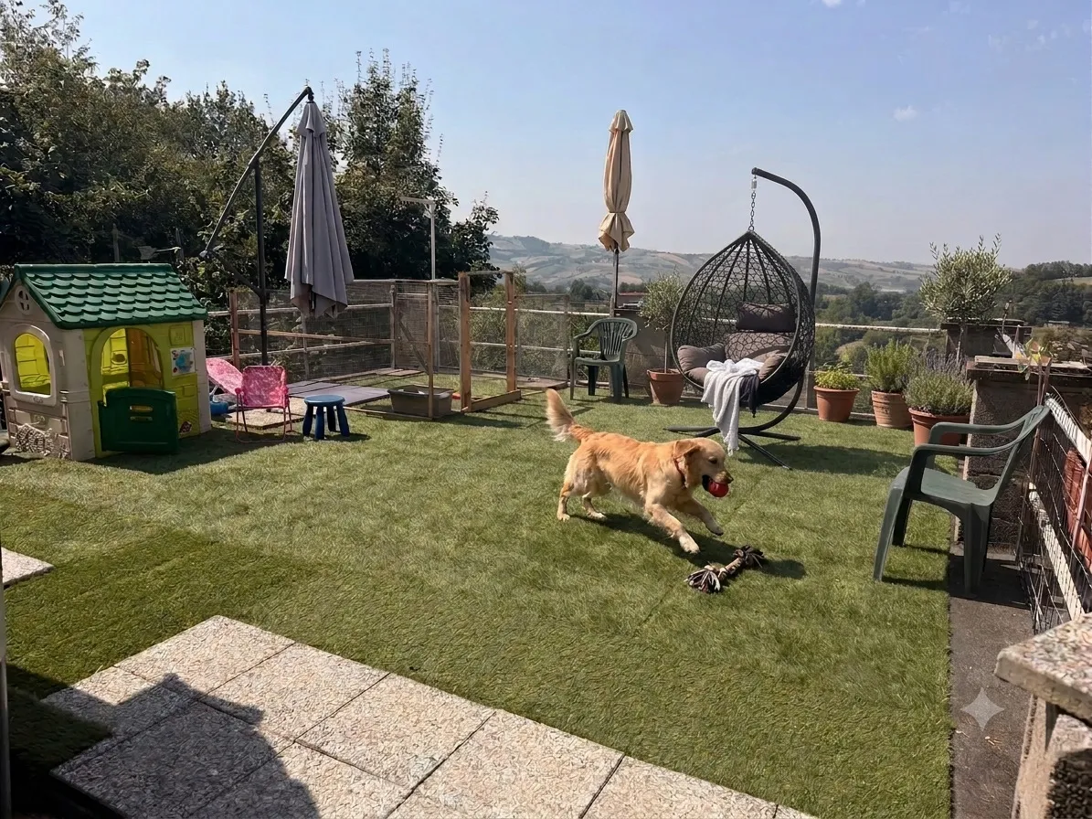 Un cane corre con la pallina nell’area gioco, con le colline modenesi sullo sfondo