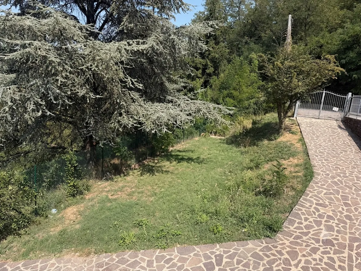 L’area verde della struttura, con i cedri secolari e il prato che scende verso la recinzione
